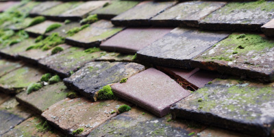 Kingsbrook roof repair costs